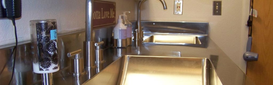 Stainless Bathroom Counter and Sinks